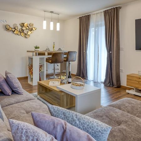 Apartment Nina Пазин Екстер'єр фото