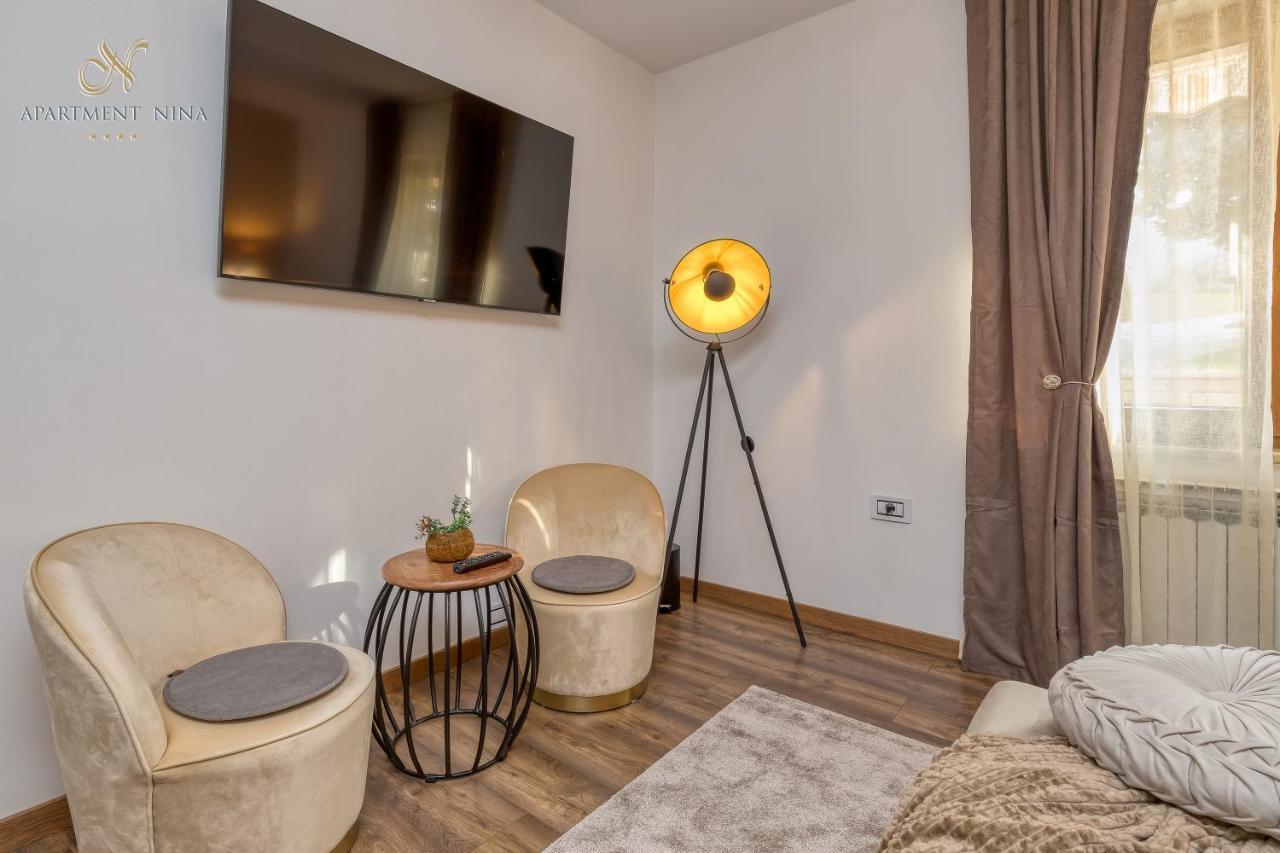 Apartment Nina Пазин Екстер'єр фото