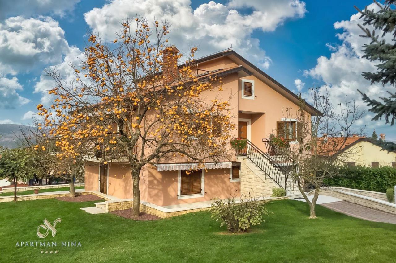 Apartment Nina Пазин Екстер'єр фото